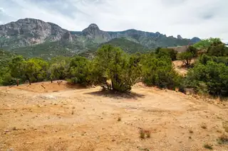 Crest View Trail 