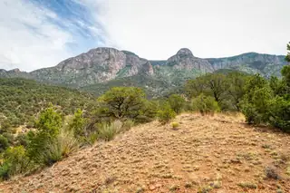 Crest View Trail 