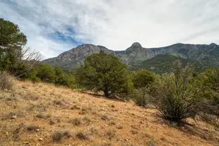 Crest View Trail 