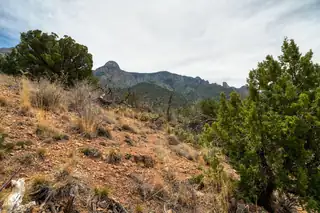 Crest View Trail 