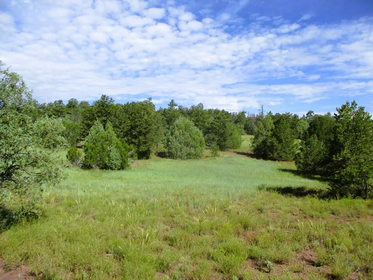 Lots 5 & 6 Black Bear Road