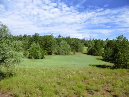 Lots 5 & 6 Black Bear Road, Ramah 