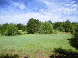 Lots 5 & 6 Black Bear Road 