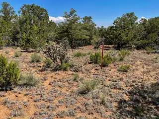 00 High Sierra Road 