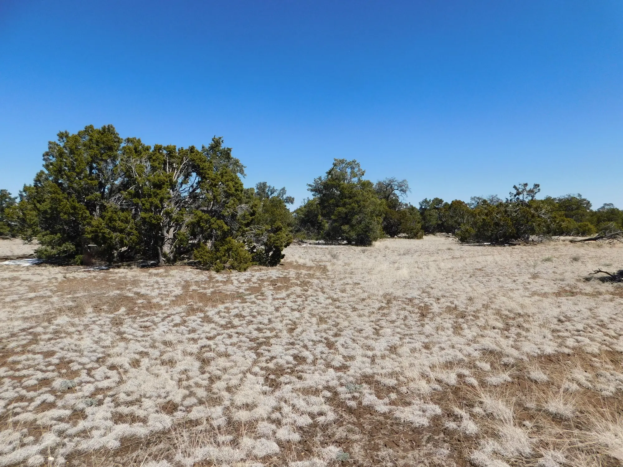 Lot 26 Spring Canyon Cir