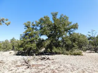 Lot 26 Spring Canyon Cir 