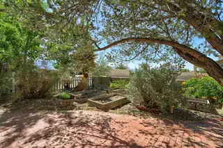 911 Palmas Altas Drive SE 