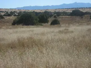 Lot 188 Pinon Springs Ranches 