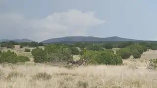 Lot 188 Pinon Springs Ranches 