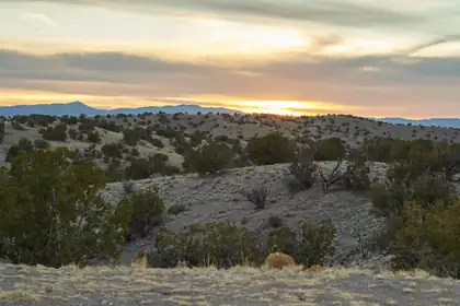 Abbe Springs Ranches Lot 115, Magdalena 