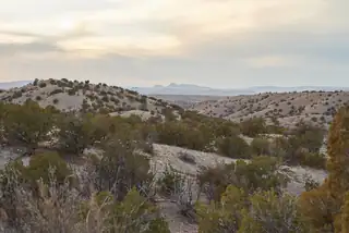 Abbe Springs Ranches Lot 115 