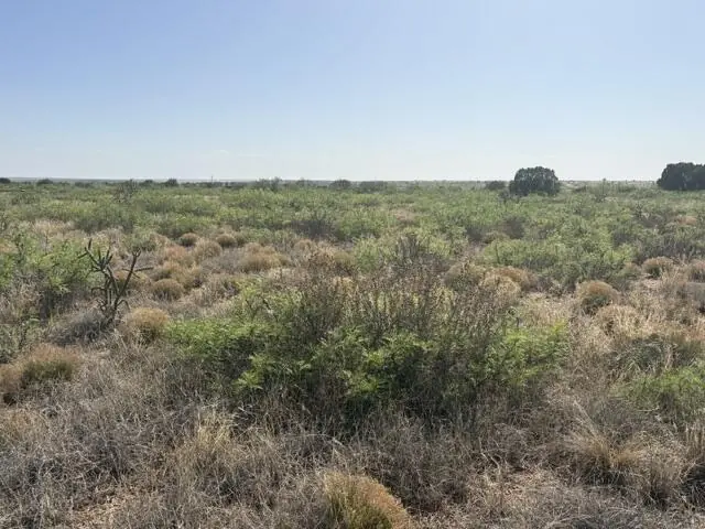 Lot 48 State Road 203