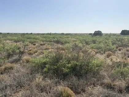 Lot 48 State Road 203, NA 
