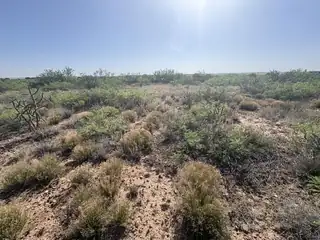 Lot 48 State Road 203 