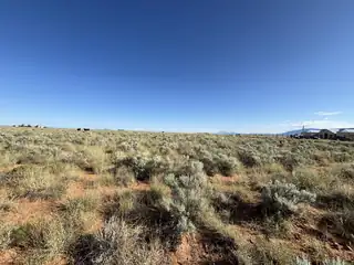 PALOMA Loop 