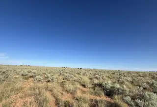 PALOMA Loop 