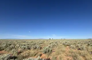 PALOMA Loop 