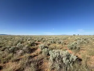 PALOMA Loop 
