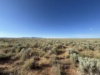 PALOMA Loop 