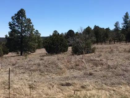 10 WOODLAND Court, Tijeras 