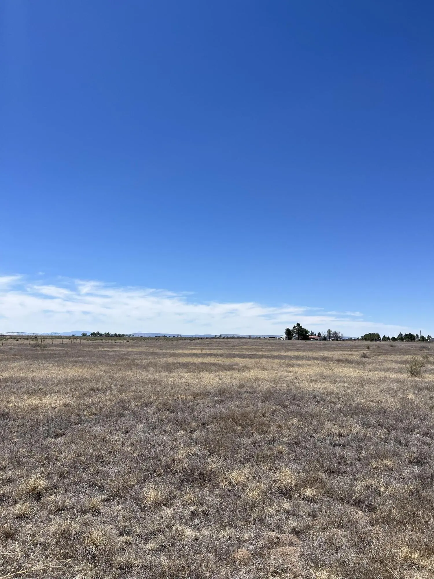 NM Highway 55