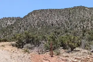 1310 Deer Canyon Trail 