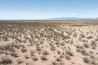 Coyote Springs Rd Road 