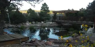 46 Nature Pointe Drive 