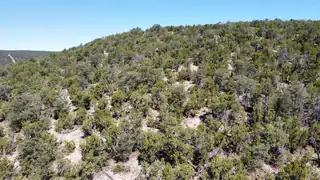 Mountain Valley Drive 