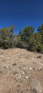 Chico Road R015120 
