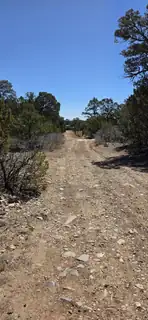 Chico Road R015120 