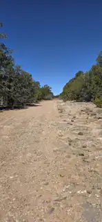 Chico Road R015120 