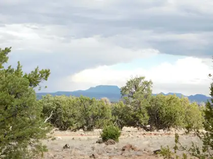 LOT 217 SQUAW PASS, Quemado 