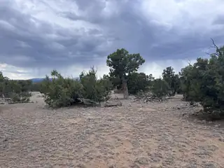LOT 217 SQUAW PASS 