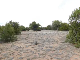 LOT 217 SQUAW PASS 