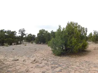 LOT 217 SQUAW PASS 