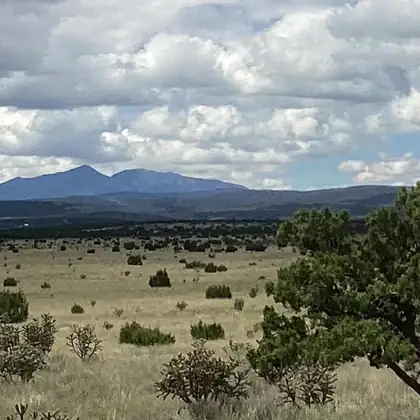 County Road A052, Estancia 