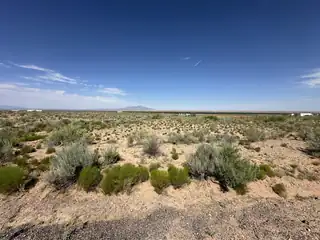 Luna Drive 