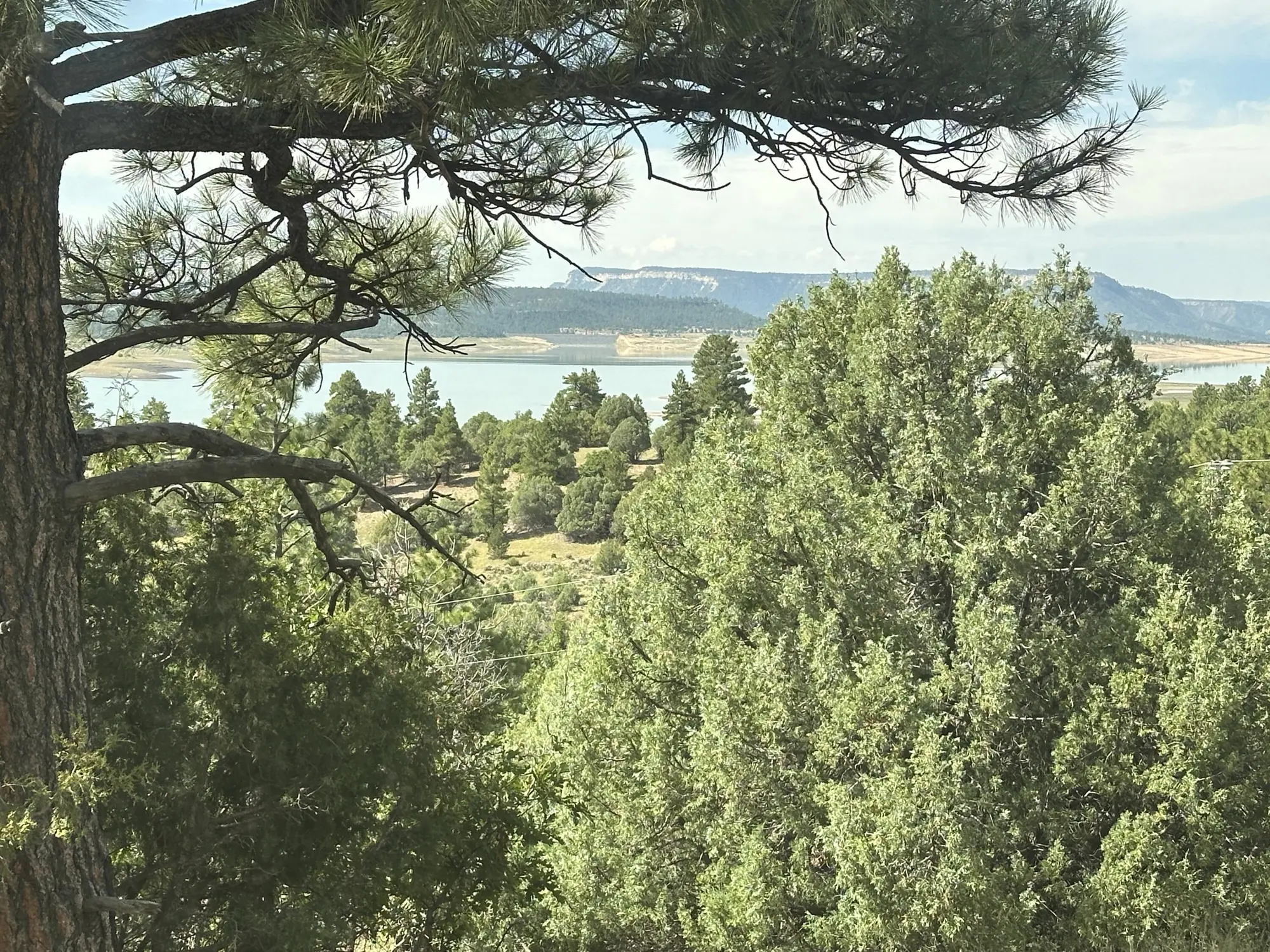 000 Canyon Road