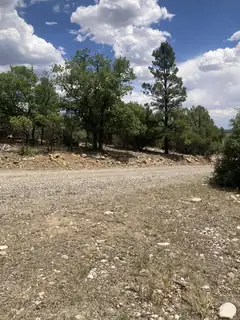 000 Canyon Road 