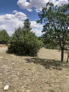 000 Canyon Road 