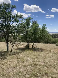 000 Canyon Road 