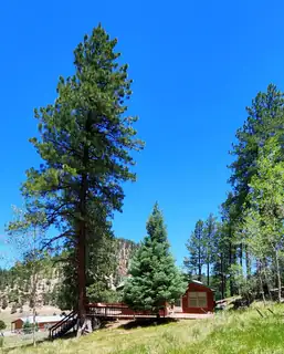 152 Sedillo Hill Road 