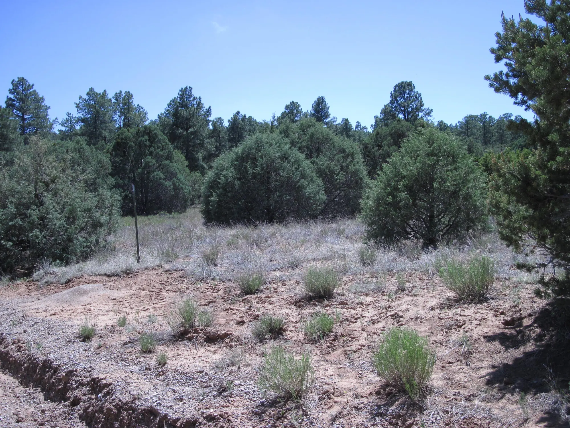 16 Camino Circular