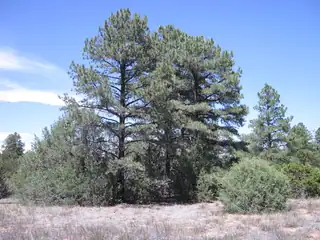 16 Camino Circular 