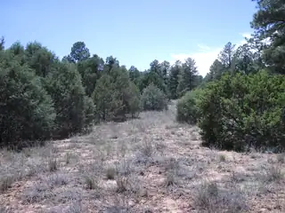 16 Camino Circular 