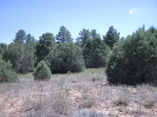 16 Camino Circular 