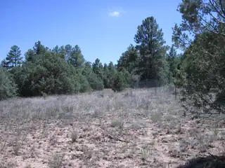 16 Camino Circular 