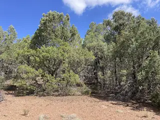 119 Anaya Road 