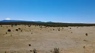 Highway 55 
